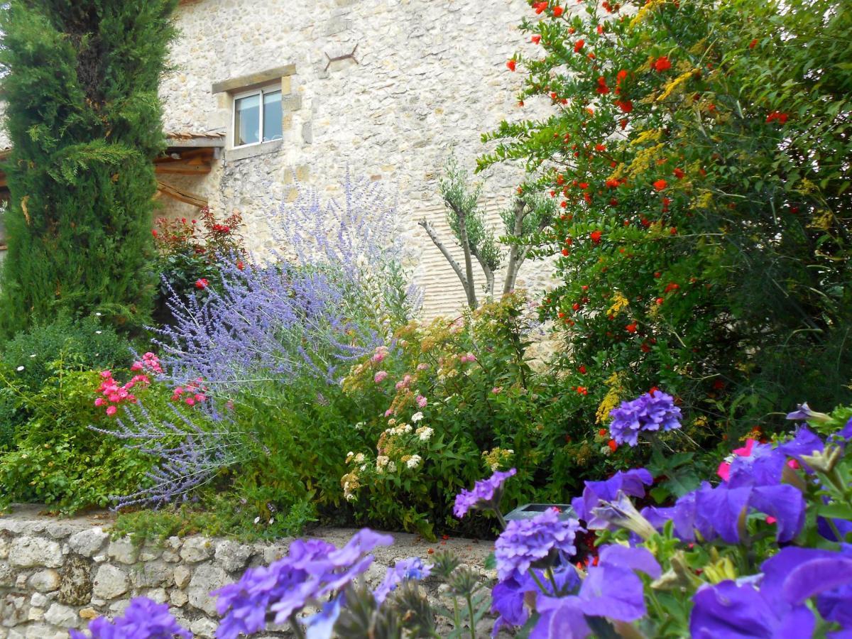 Bed and Breakfast Les Tamaris Castelnau-sur-Gupie Esterno foto
